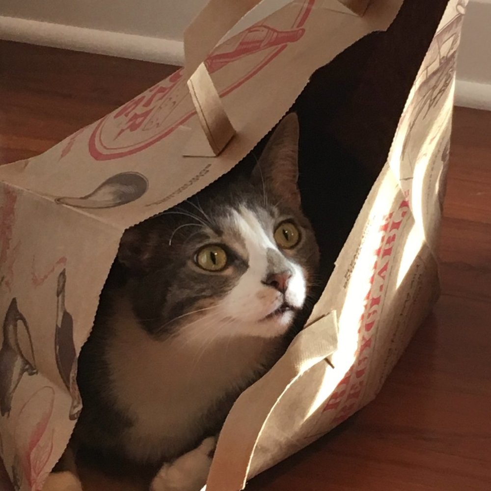 Meet your Posher, Sarah